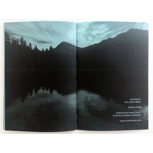 Innen Books Joe Roberts 8 IPMatter SUPERSTORE