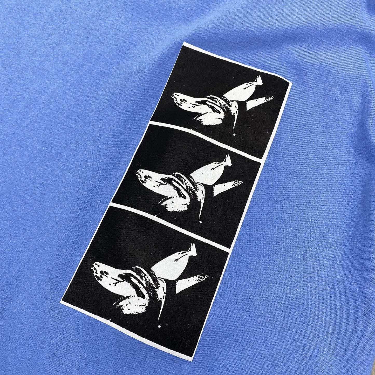 mutantRAW T Carolina Blue 2 IPMatter SUPERSTORE